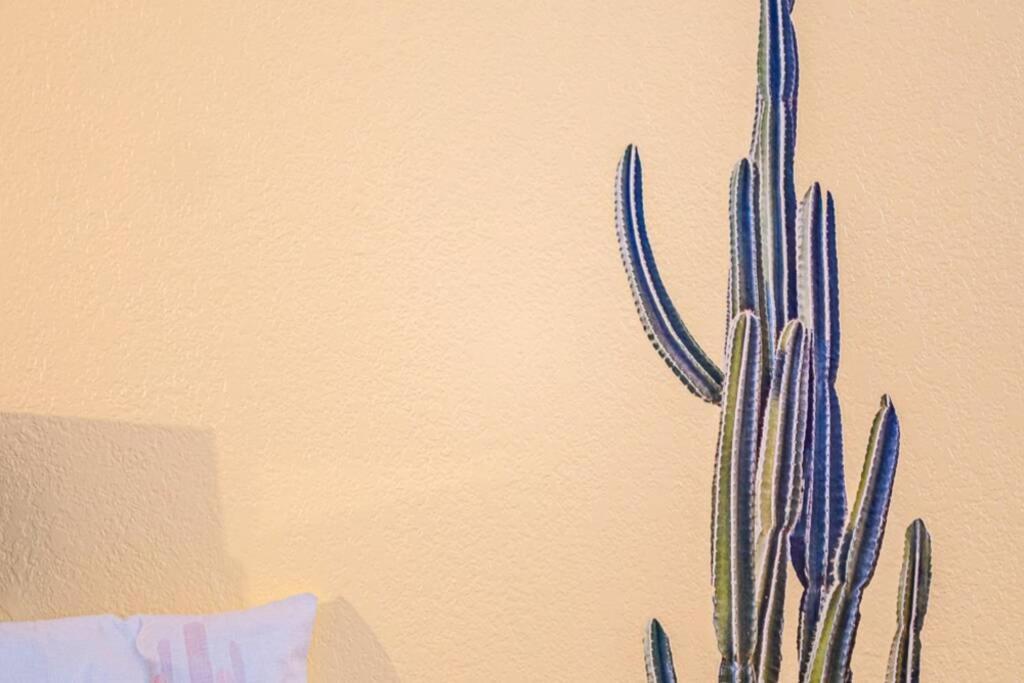 Casa de Férias New! Jt Sunshine House Cozy, Artsy & Comfy, Dog Friendly, 3bd *